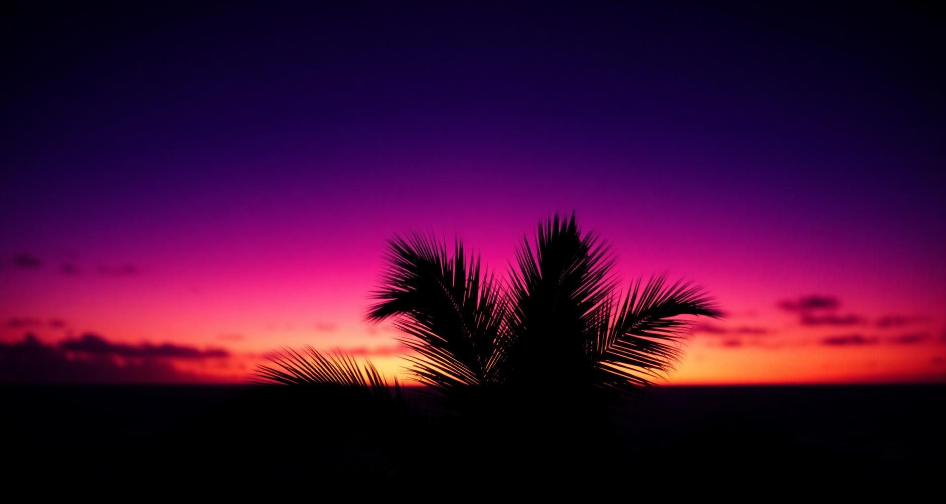 Tropical sunset backdrop of justmet ai